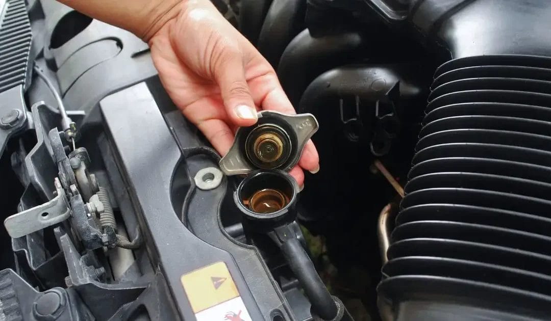 ورشة بيجو في جدة